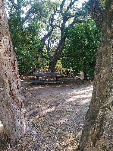 Une des nombreuses tables disponibles