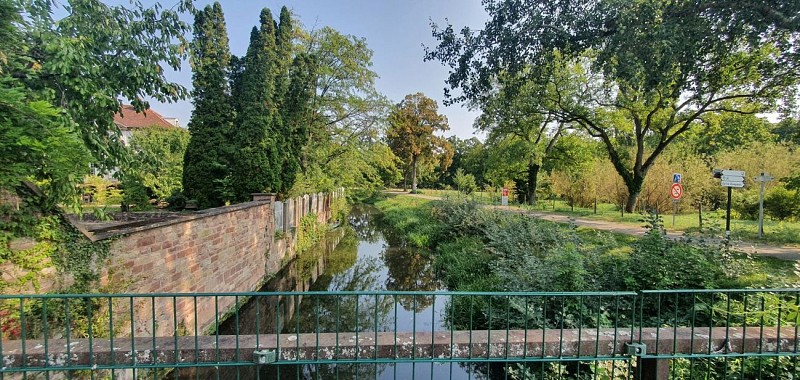 Le canal de la bruche à Wolxheim
