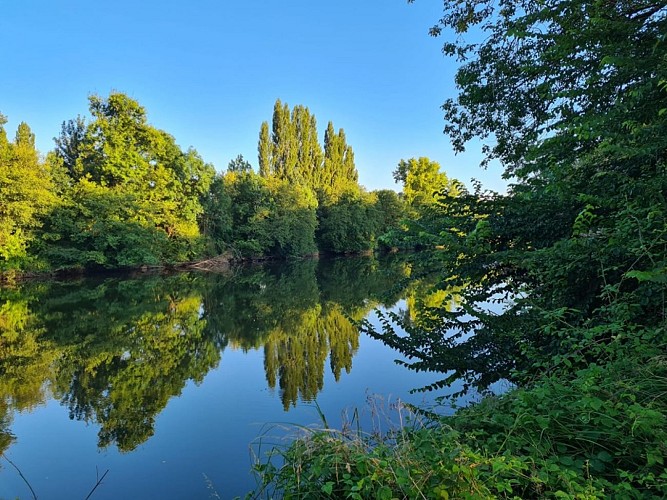 chemin-sur-berges-riviere(1)-vallee-isle-perigord