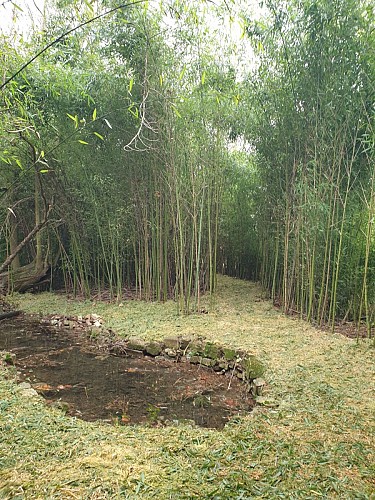 Cressonnière Marcillac