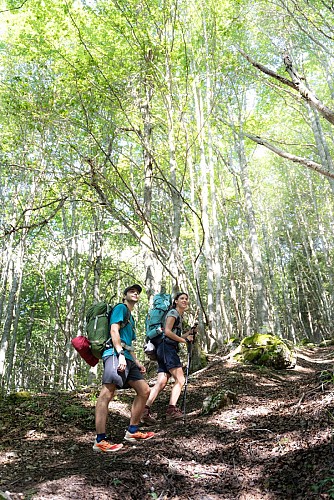 Bois des Feuillères