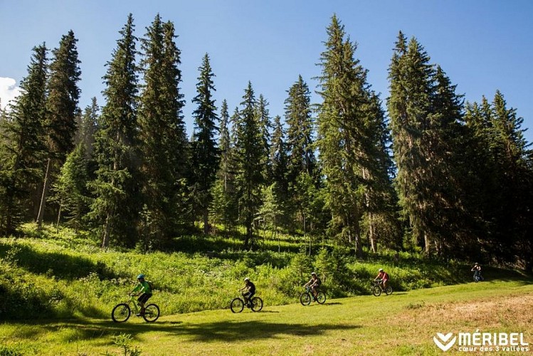 VAE3 - Col de la Loze