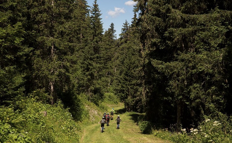 VAE 6 - Boucle des Cotilles