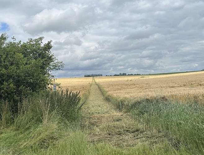 Chemin public retracé