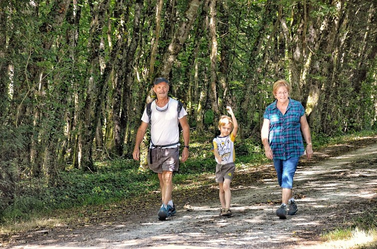 SENTIER DE RANDONNÉE TUFFEAU, BOCAGES ET VALLONS - BOCÉ