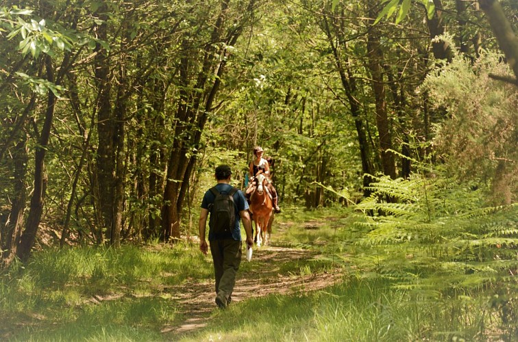 SENTIER DE RANDONNÉE TUFFEAU, BOCAGES ET VALLONS - BOCÉ