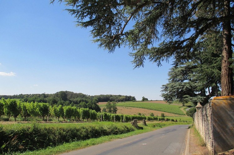 ROUTES DES VINS - VIGNOBLE ET PATRIMOINE DU HAUT-LAYON