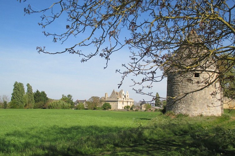 ROUTES DES VINS - VIGNOBLE ET PATRIMOINE DU HAUT-LAYON