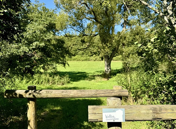 Decouverte-de-la-calestienne©MTFSH-TEXTO_Pascal_Willems_(46)