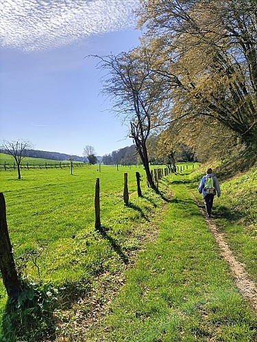 Boucle de Pierre Auguste Renoir