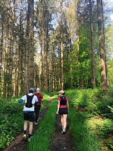 Boucle de Grand Bois