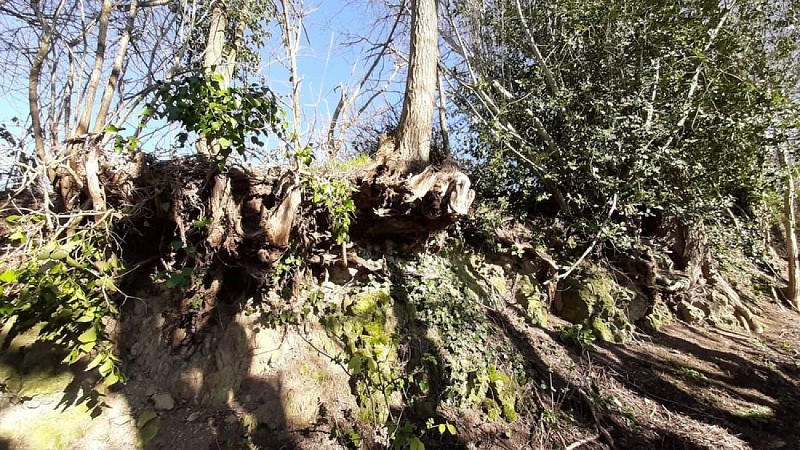 La Croix de Lognonnet