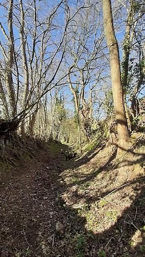La Croix de Lognonnet