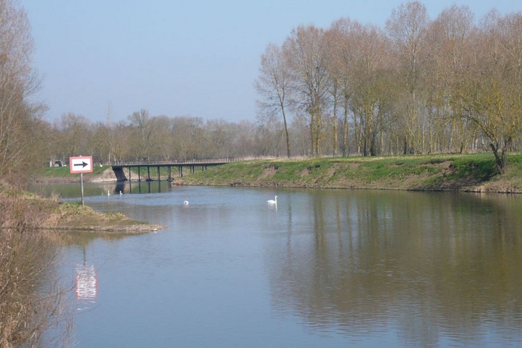 A LA DÉCOUVERTE DU PLESSIS-BOURRÉ DEPUIS CHEFFES