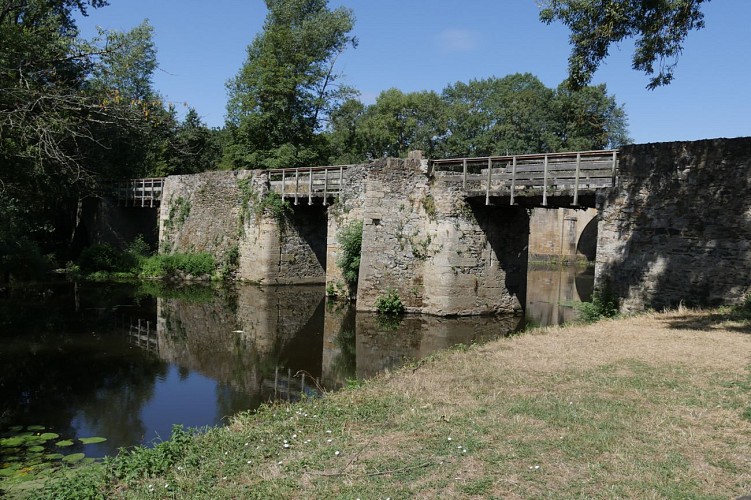 GR® de Pays Coteaux du Layon et de la Loire