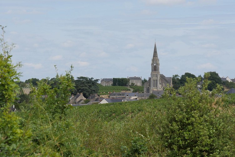 GR® de Pays Coteaux du Layon et de la Loire