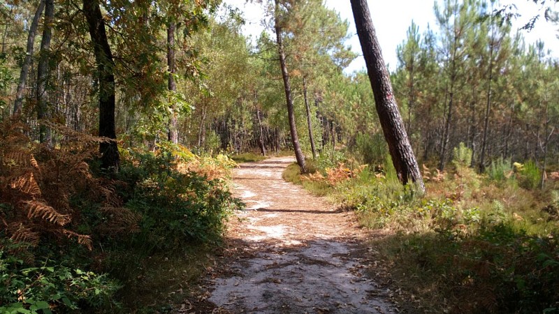 GR®35 La vallée du Loir à pied