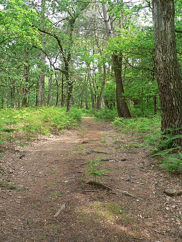 GR®35 La vallée du Loir à pied