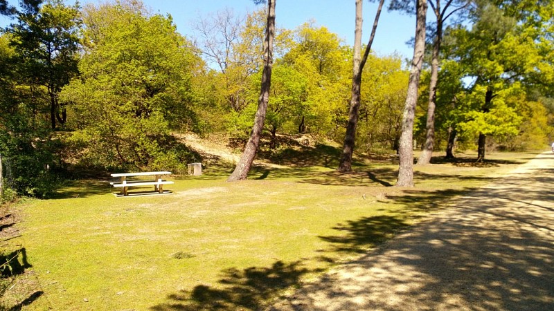 GR®35 La vallée du Loir à pied