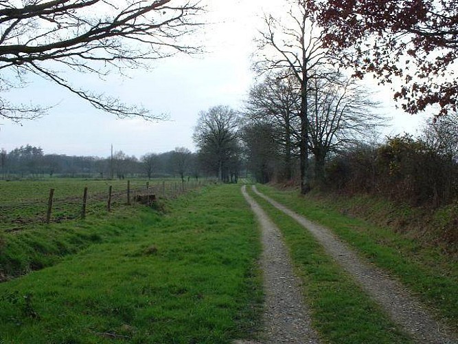 DE FORÊT EN VALLONS