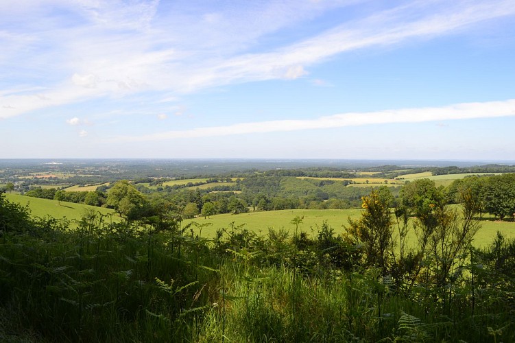 SUR LE FLANC DU MONT ROCHARD - N°22