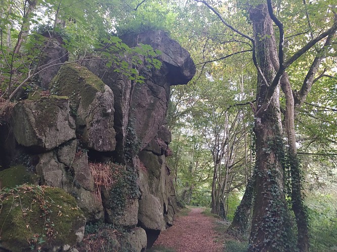 OISSEAU - RANDONNÉE - SENTIER AUX PAS DE QUINCAMPOIX - N°25
