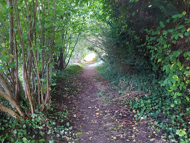 OISSEAU - RANDONNÉE - SENTIER AUX PAS DE QUINCAMPOIX - N°25