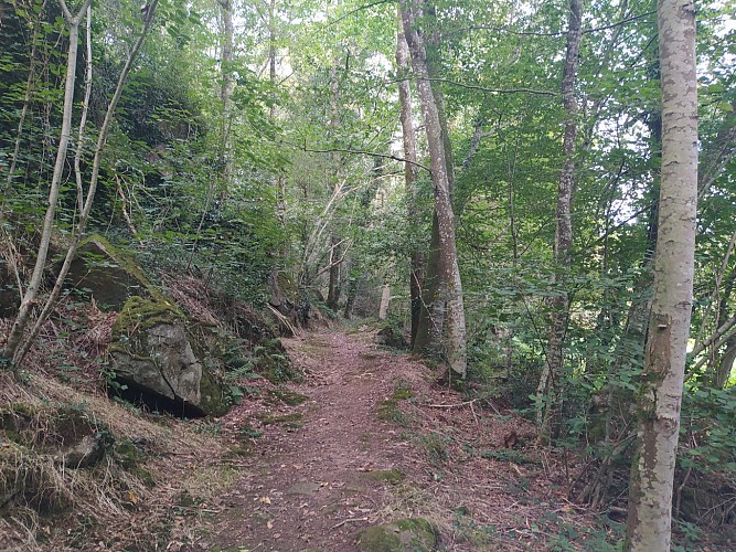 OISSEAU - RANDONNÉE - SENTIER AUX PAS DE QUINCAMPOIX - N°25