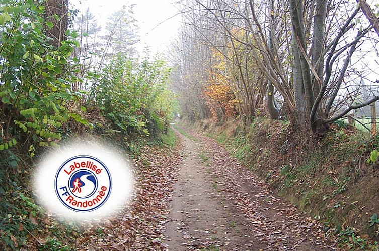 FOUGEROLLES-DU-PLESSIS - RANDONNÉE - CIRCUIT DE CLAIRE FONTAINE - N° 9