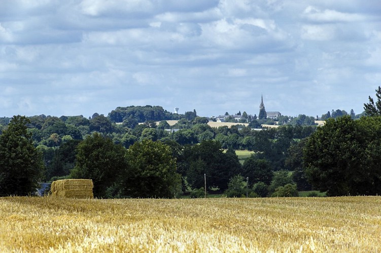 FOUGEROLLES-DU-PLESSIS - RANDONNÉE - CIRCUIT DE CLAIRE FONTAINE - N° 9