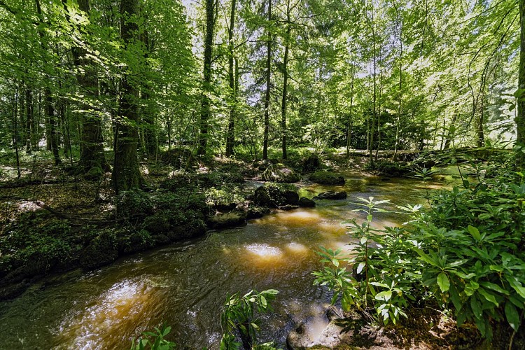 PONTMAIN - RANDONNÉE - CIRCUIT DU CHÂTEAU DE MAUSSON - N°20