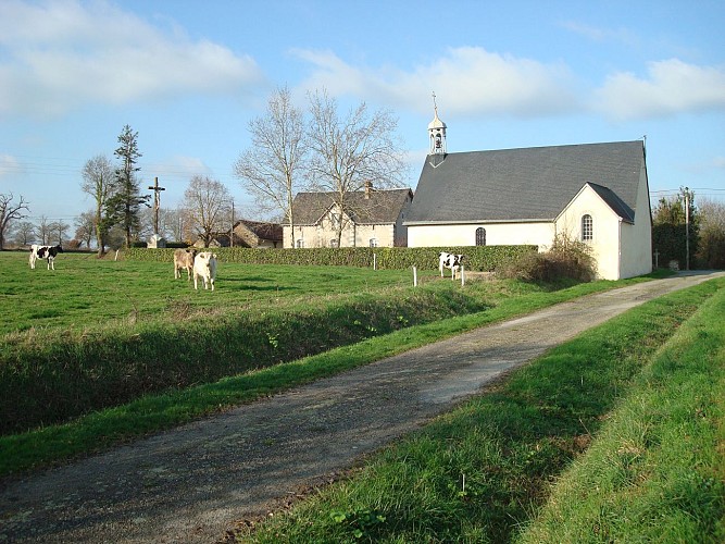 CIRCUIT DES CHATEAUX À DAON (n°14)