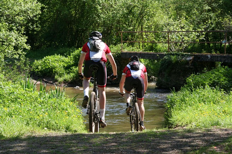 CIRCUIT VTT N°5 - LA VALLÉE DU MERDEREAU (BASE FFV LES PERLES)