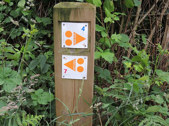 CIRCUIT VTT N°7 - TOUR DE LA FORÊT DE PAIL ET DES ALPES MANCELLES (BASE FFV LES PERLES)