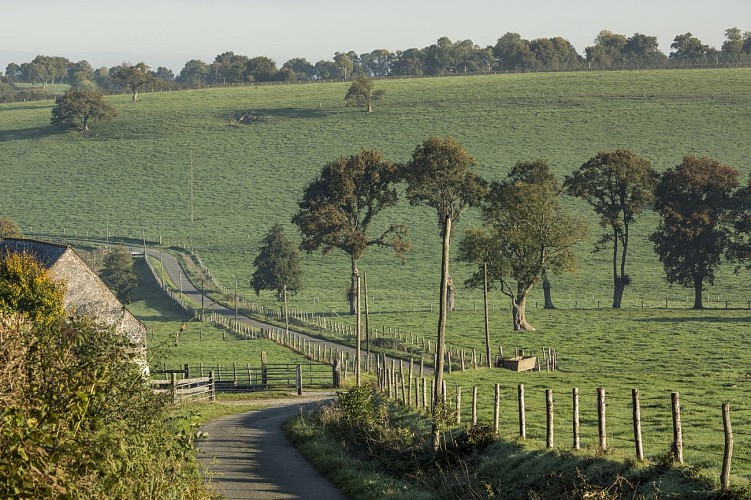 CIRCUIT DE BOUILLÉ - N°26