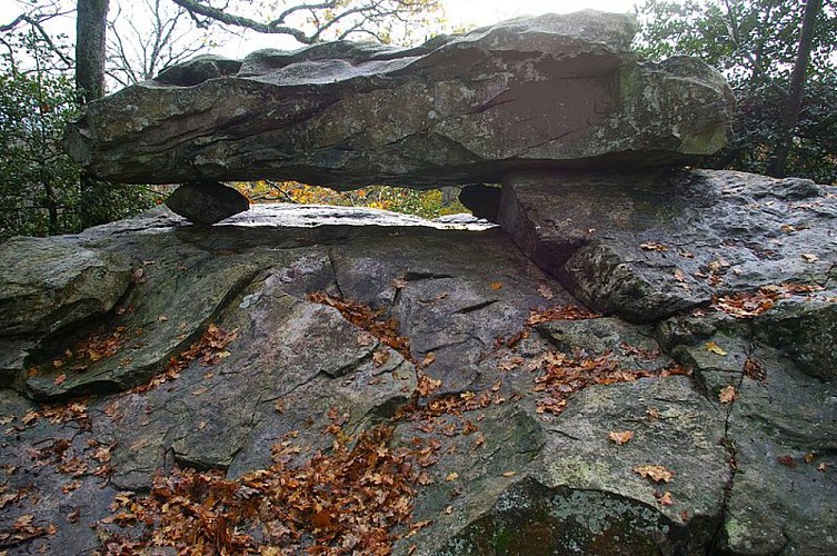 CIRCUIT DE LA TABLE DES DIABLES - N°29