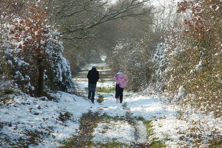 CIRCUIT DES 3 CITÉS - N°32