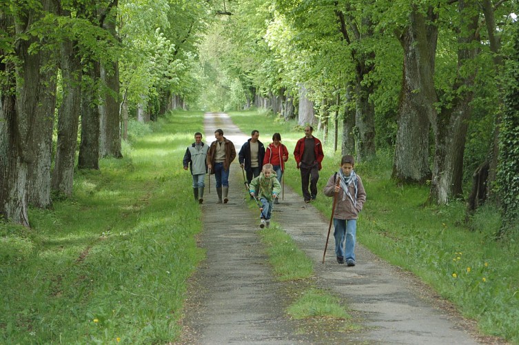 BOUCLE MULTI-RANDONNÉES N°03 - SECTEUR SAULGES, CHAMMES, ST JEAN SUR ERVE, ST PIERRE SUR ERVE ET THORIGNÉ