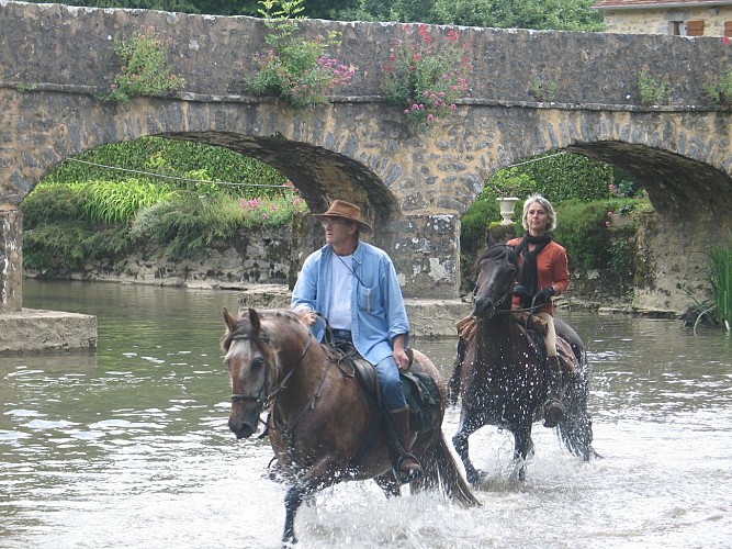 BOUCLE MULTI-RANDONNÉES N°03 - SPÉCIAL CHEVAUX ET ATTELAGES / SECTEUR ST PIERRE SUR ERVE THORIGNÉ ET LIAISON CHAMMES