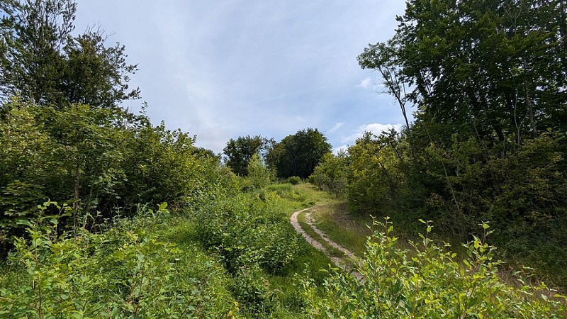 Balade vers Montchâlons III