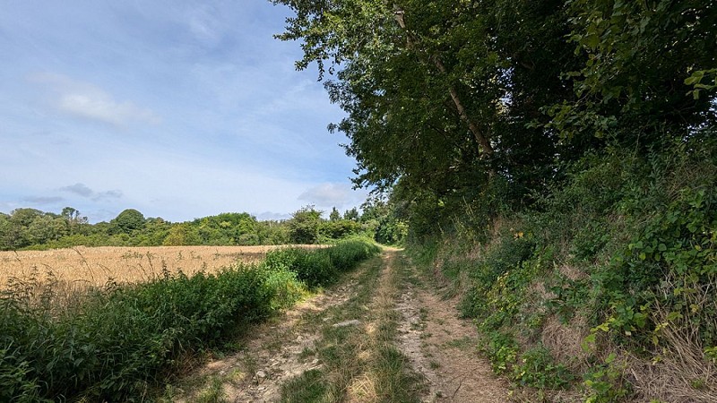 Balade vers Montchâlons VII