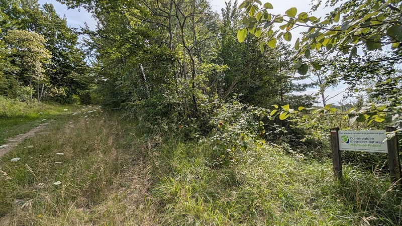 Balade vers Montchâlons II