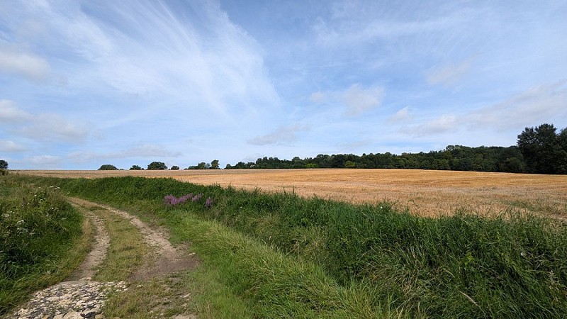 Balade vers Montchâlons VI