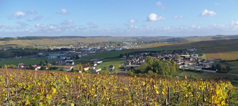 Chablis et la vallée du Serein