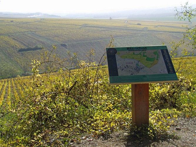 Les grands crus de Chablis