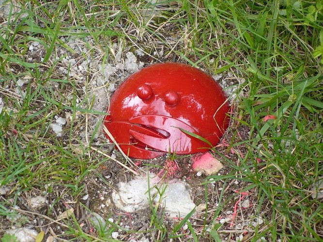 Les crabes rouges à suivre !
