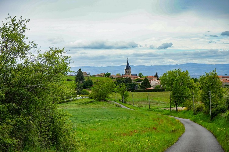 Etangs, vignes et villages - Boucle sportive - Boucle LF 2_Boën-sur-Lignon