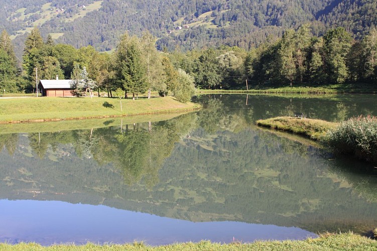 Etang de Marcôt en été