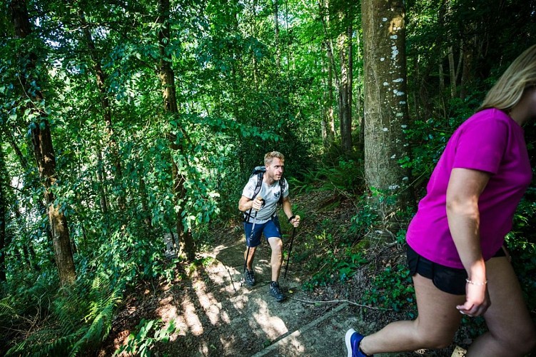 Circuit du Bois de la Salle