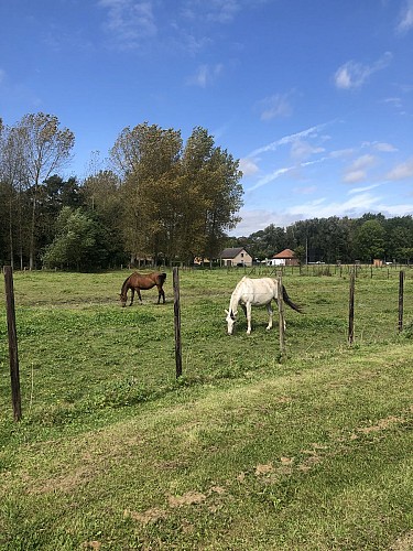 Balade des enfants Roclenge-sur-Geer